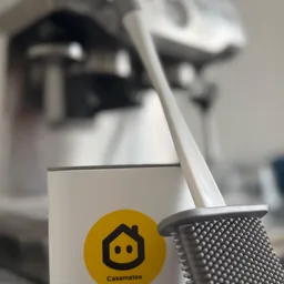 Toilet Brush